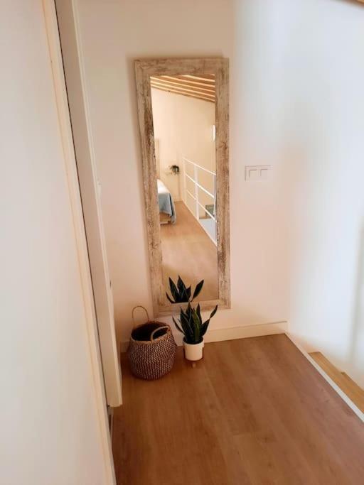 Апартаменты Loft Centrico Con Patio Bodega San Javier Херес-де-ла-Фронтера Экстерьер фото